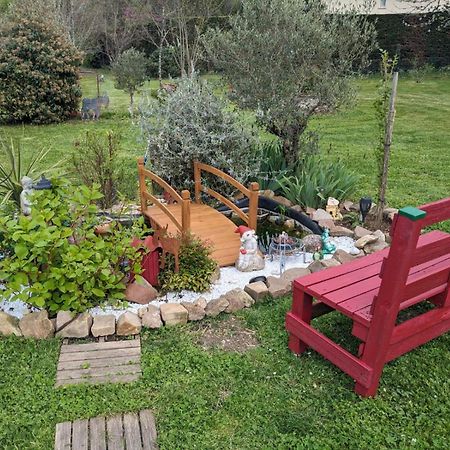 Chambre D'Hote Amitie Et Jardin Carmaux Zewnętrze zdjęcie