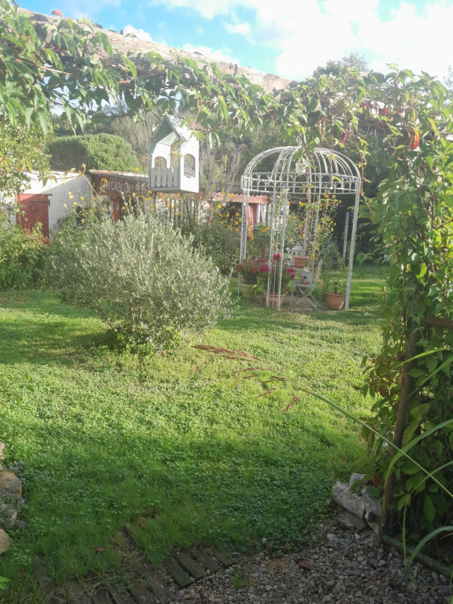 Chambre D'Hote Amitie Et Jardin Carmaux Zewnętrze zdjęcie