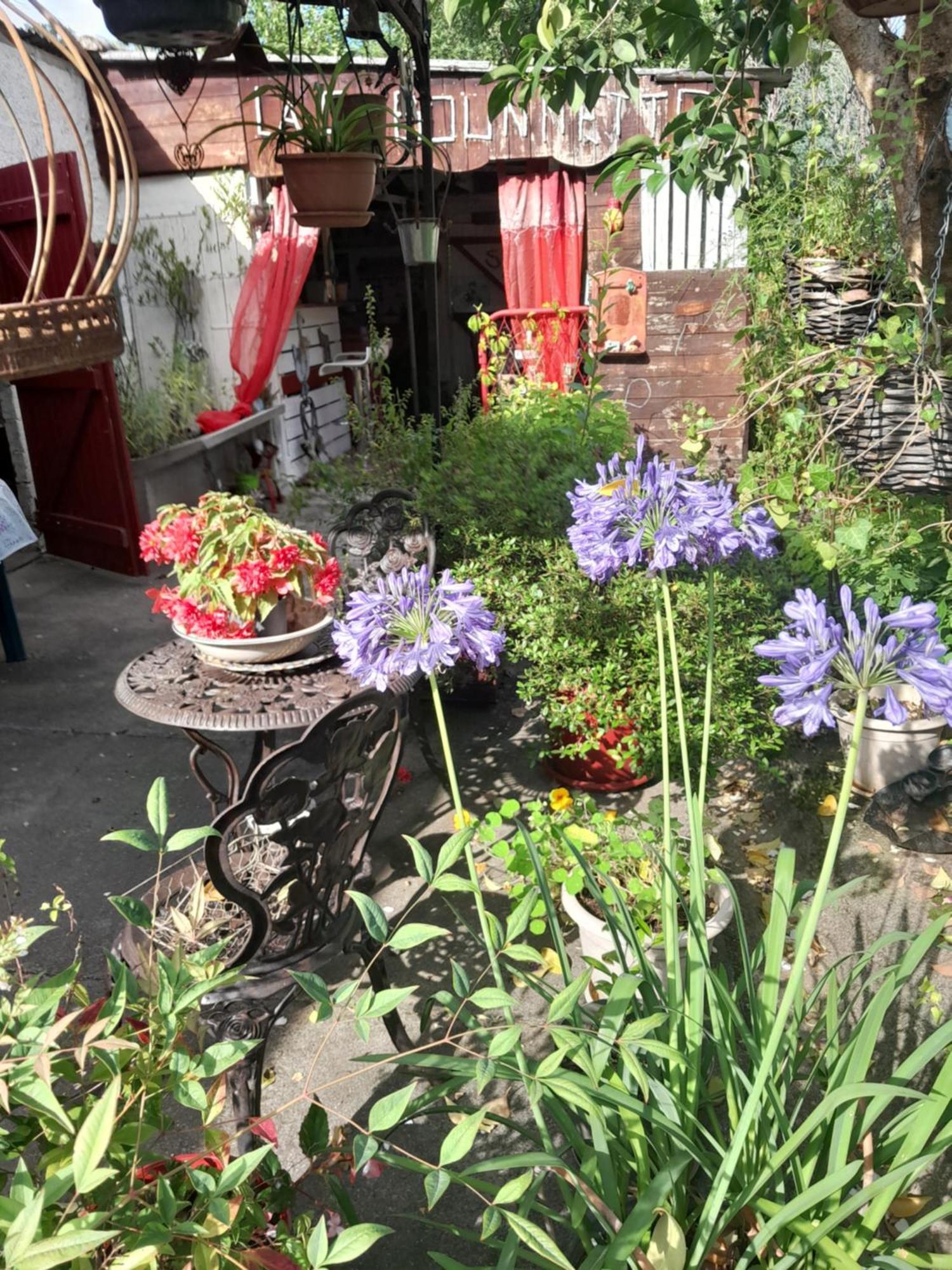 Chambre D'Hote Amitie Et Jardin Carmaux Zewnętrze zdjęcie